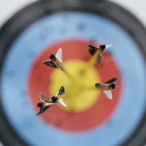 Archery Target wallpaper
