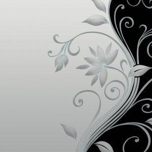 Black And White Flower wallpaper