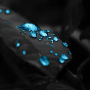 Blue Drops\ wallpaper