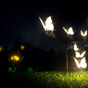 Butterflies in a Bottle wallpaper