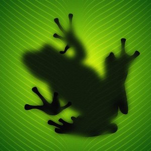 Frog Shadow wallpaper