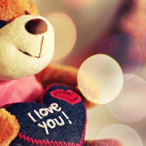 I Love You Teddy Bear\ wallpaper