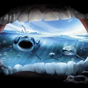 Jaws wallpaper