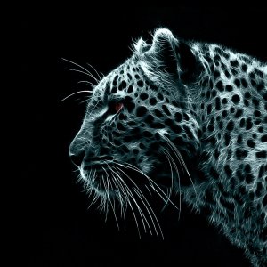 Leopard\ wallpaper