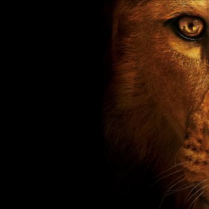 Lion King\ wallpaper