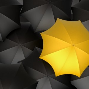 Yellow Umbrella wallpaper