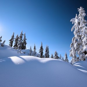 Beautiful Winter wallpaper