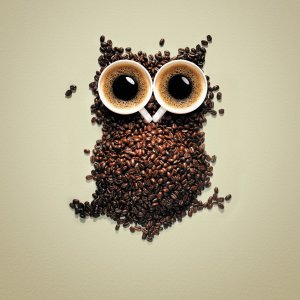 Coffee Owl wallpaper