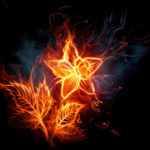 Fire Flower\ wallpaper