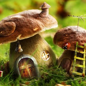 Mushroom House\ wallpaper