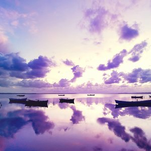 Purple Ocean Sunset wallpaper