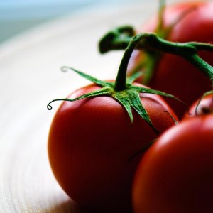 Tomato\ wallpaper