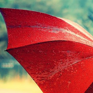 Umbrella\ wallpaper