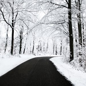 Winter Road\ wallpaper